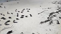 VID_20191018_101050