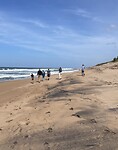 Wandeling over strand
