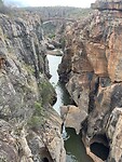 IMG_7909