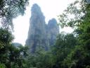 Zhangjiajie forrest