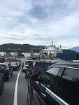 IMG_4491
