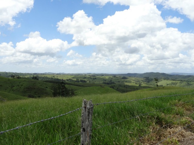 DSC00643