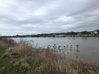 Langs de Maas