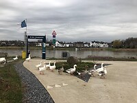 Pontje bij Eijsden