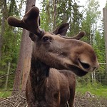 IMG_20190623_221654_596