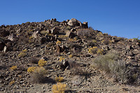Richtersveld 1