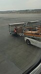 VID-20220329-WA0005