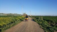 IMG-20220401-WA0014