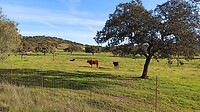 IMG_20220403_094926