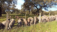 IMG_20220403_100301