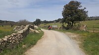 IMG-20220404-WA0006