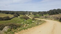 IMG-20220404-WA0009