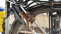 IMG_20220405_164219