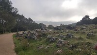 IMG-20220406-WA0010