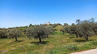 IMG_20220410_131923