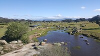 IMG-20220414-WA0010