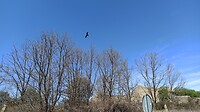 IMG_20220414_151755
