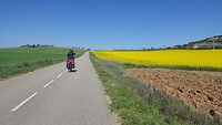 IMG-20220418-WA0003