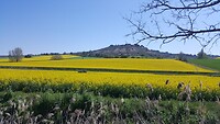 IMG-20220418-WA0004