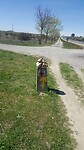 IMG-20220422-WA0007