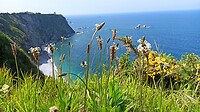 IMG_20220429_152704