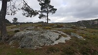 IMG-20220504-WA0006