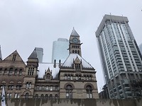 Love this contrast