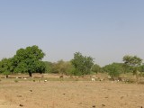Onderweg naar kantoor