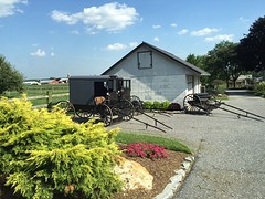Amish farm en koets