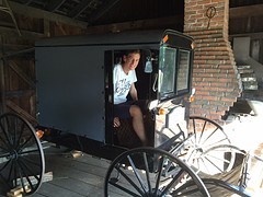 Michiel in de koets