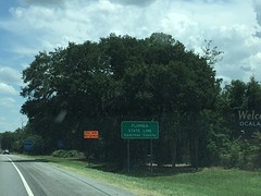IMG_4541