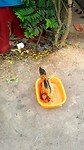 20181219_080951