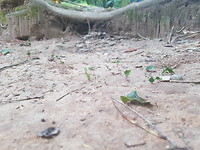 20191030_154218