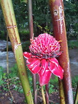 20191030_153415