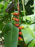 20191030_113109
