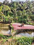 IMG_20221210_090034214_HDR