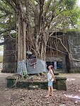 IMG_20221212_120923221_HDR