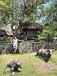 IMG_20221212_103159192_HDR