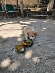 IMG_20221214_111403723_HDR
