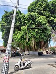 IMG_20221214_102515009_HDR