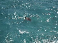 IMG_20221213_134144322