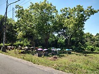 IMG_20221213_125334499_HDR