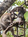 IMG_20221216_120608564_HDR