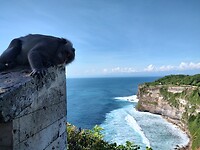 IMG_20221219_155721810_HDR