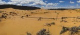 20150525_115945
