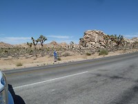 USA2015 063