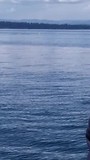 Orka 1