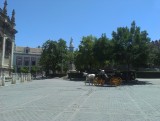 IMAG0491