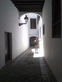 IMAG0497