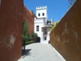 IMAG0502